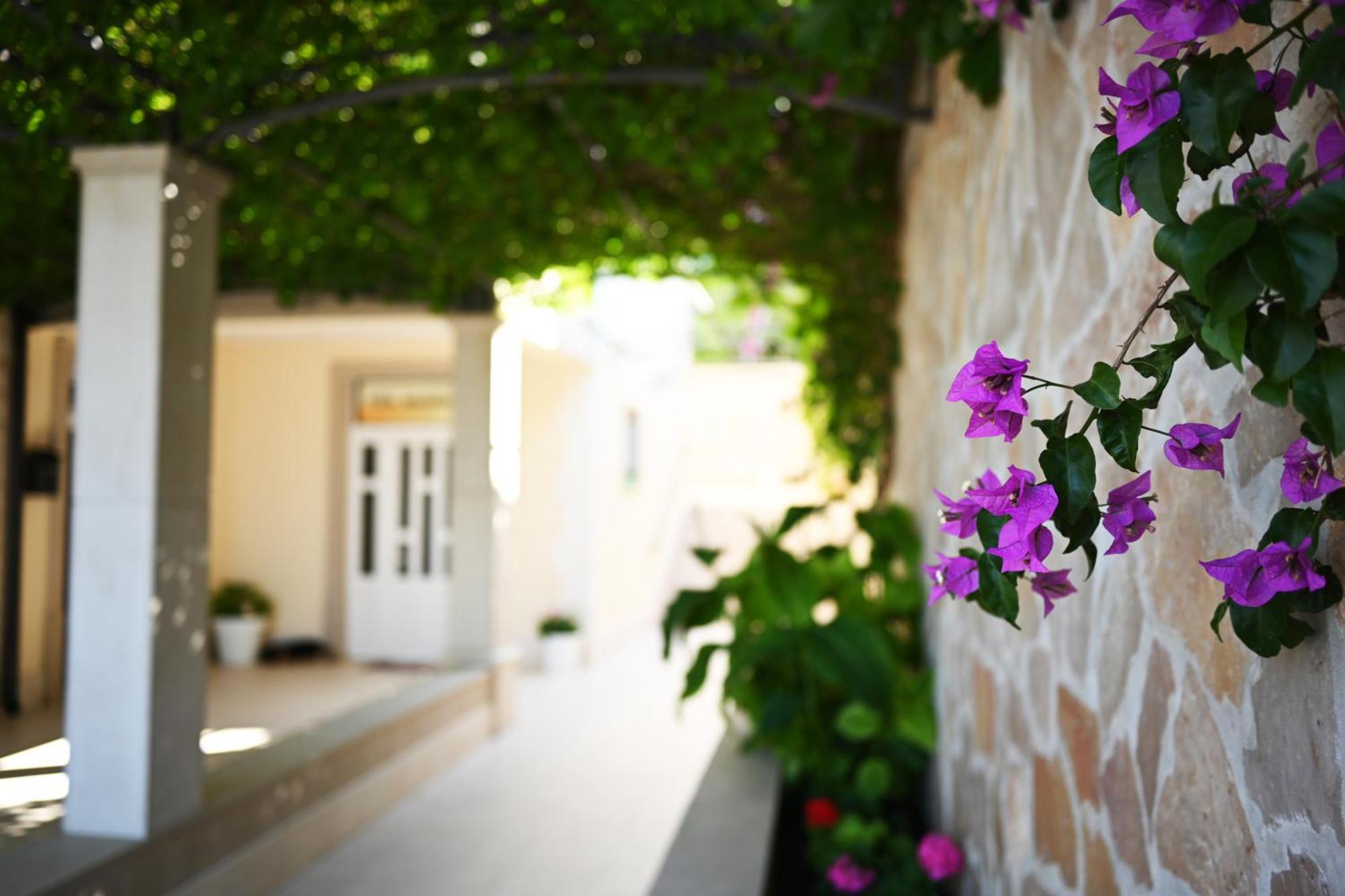 Hvar Villa Malisko Apartments Hvar Town Esterno foto