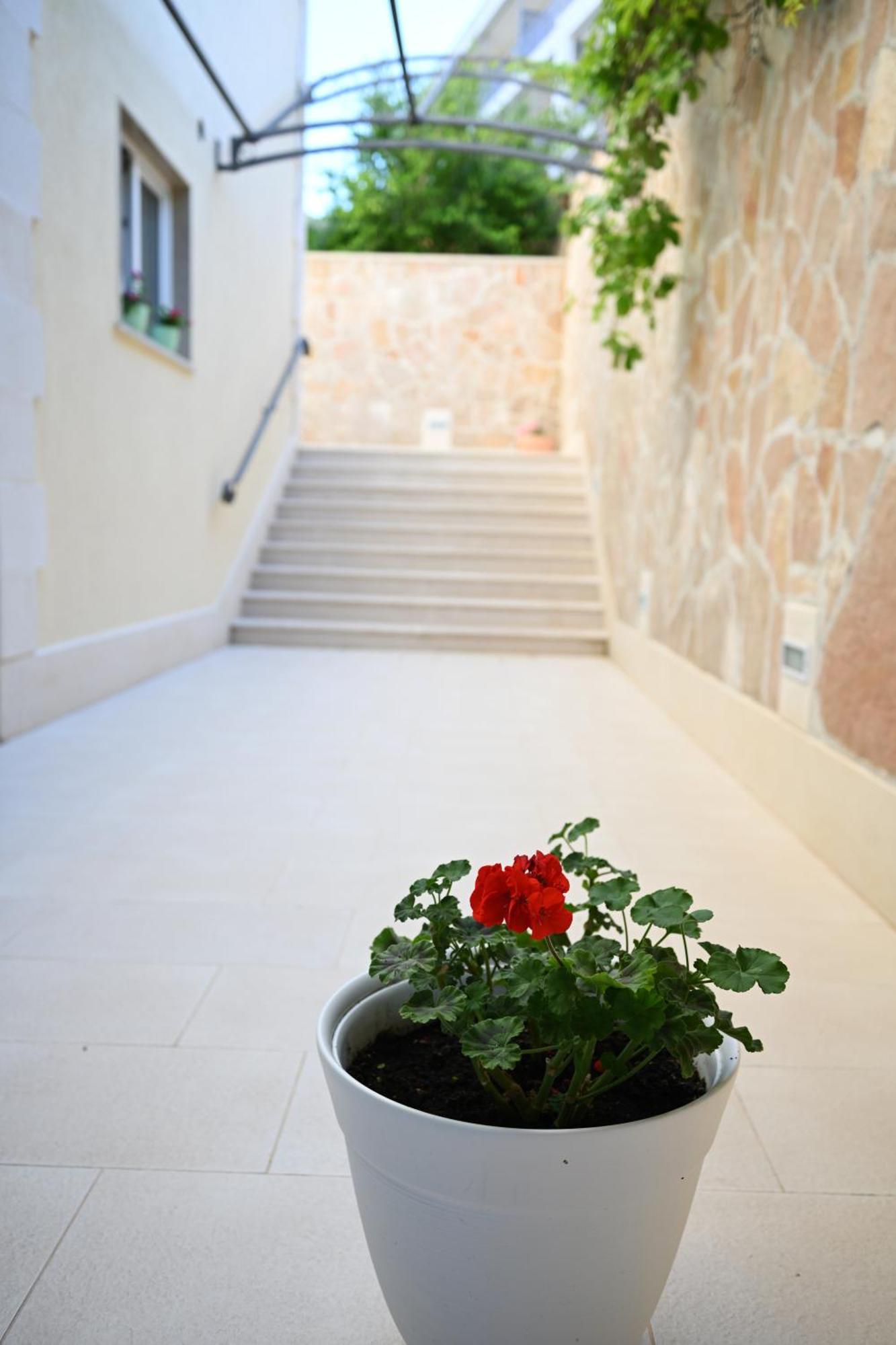 Hvar Villa Malisko Apartments Hvar Town Esterno foto