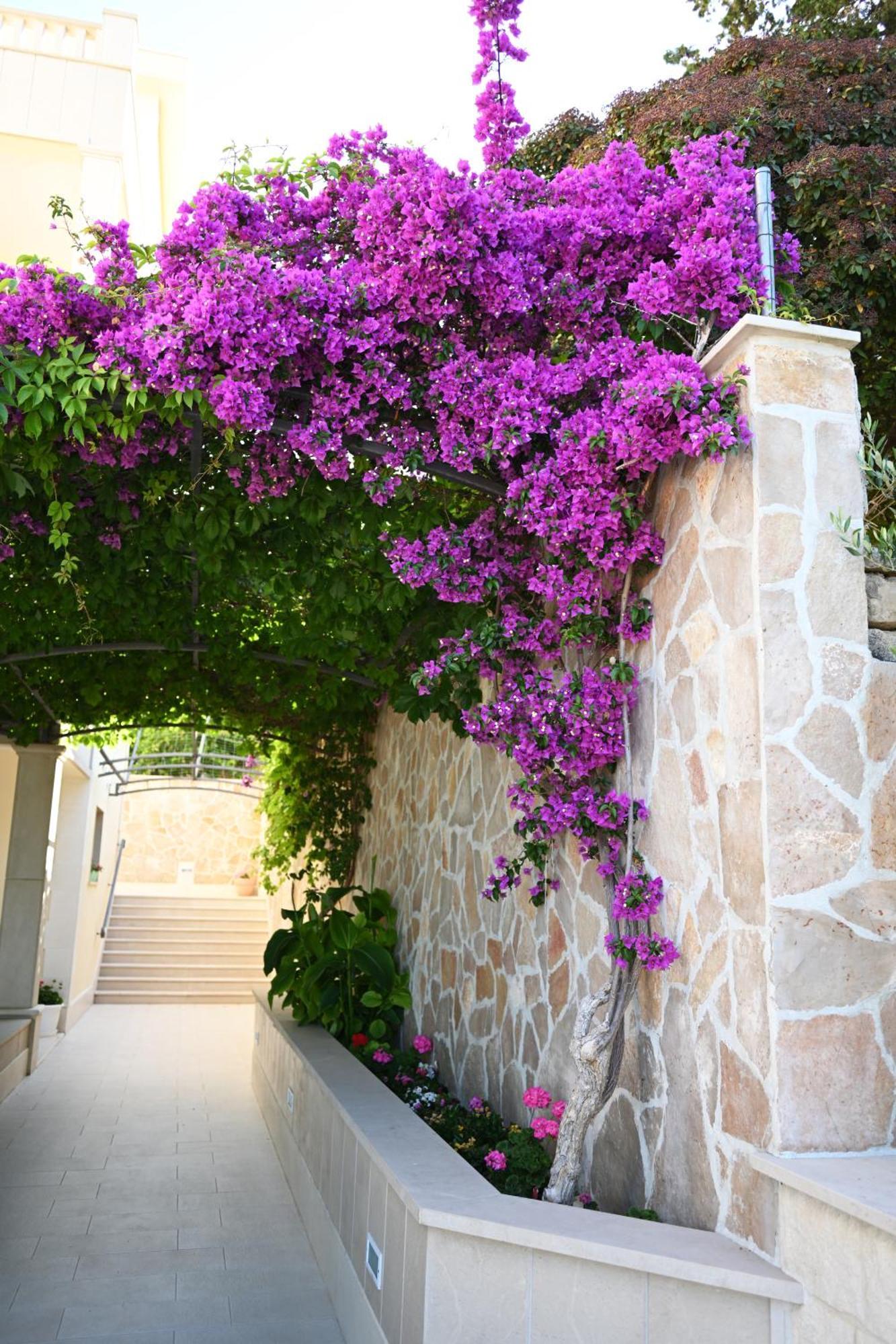 Hvar Villa Malisko Apartments Hvar Town Esterno foto